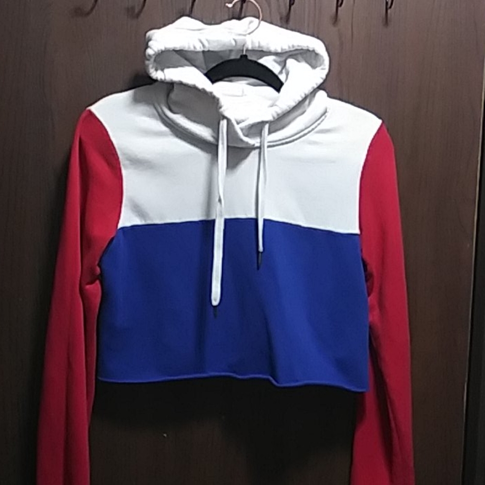 Hollister crop hoodie